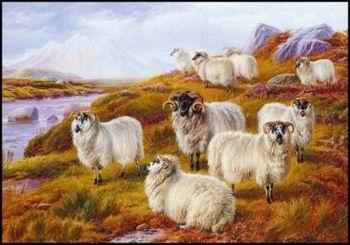 unknow artist Sheep 063 oil painting picture